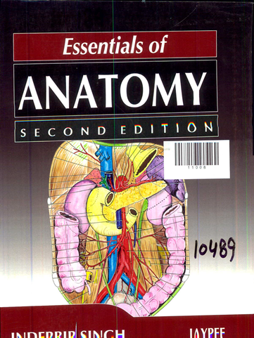 Essential Of Anatomy Second Edition