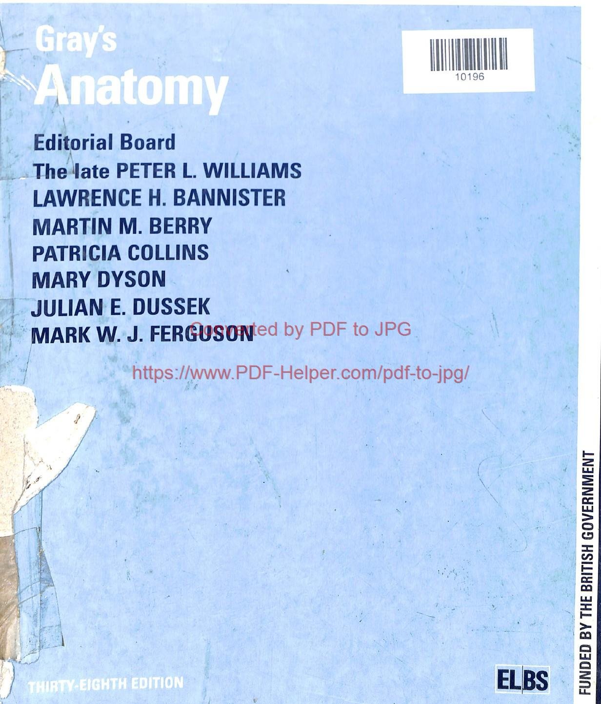 GRAY'S ANATOMY