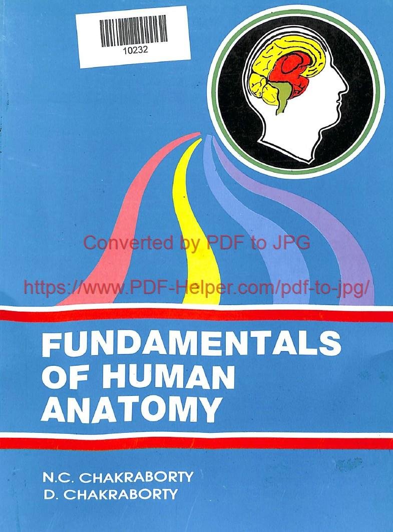 FUNDAMENTALS OF HUMAN ANATOMY 2