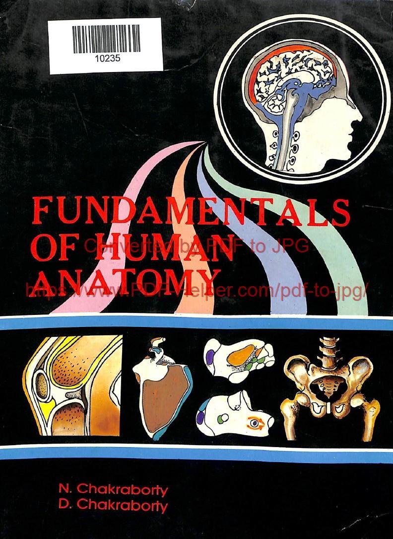 FUNDAMENTALS OF HUMAN ANATOMY -3