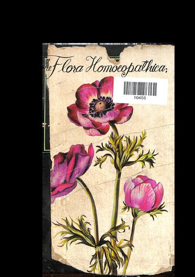 THE FLORA HOMOEOPATHICA