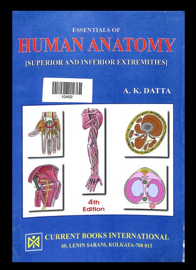 ESSENTIALS OF HUMAN ANATOMY ( SUPERIOR AND INFERIOR EXTREMITIES ) 4th EDITION