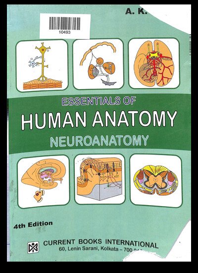 ESSENTIALS OF HUMAN ANATOMY NEURONATOMY