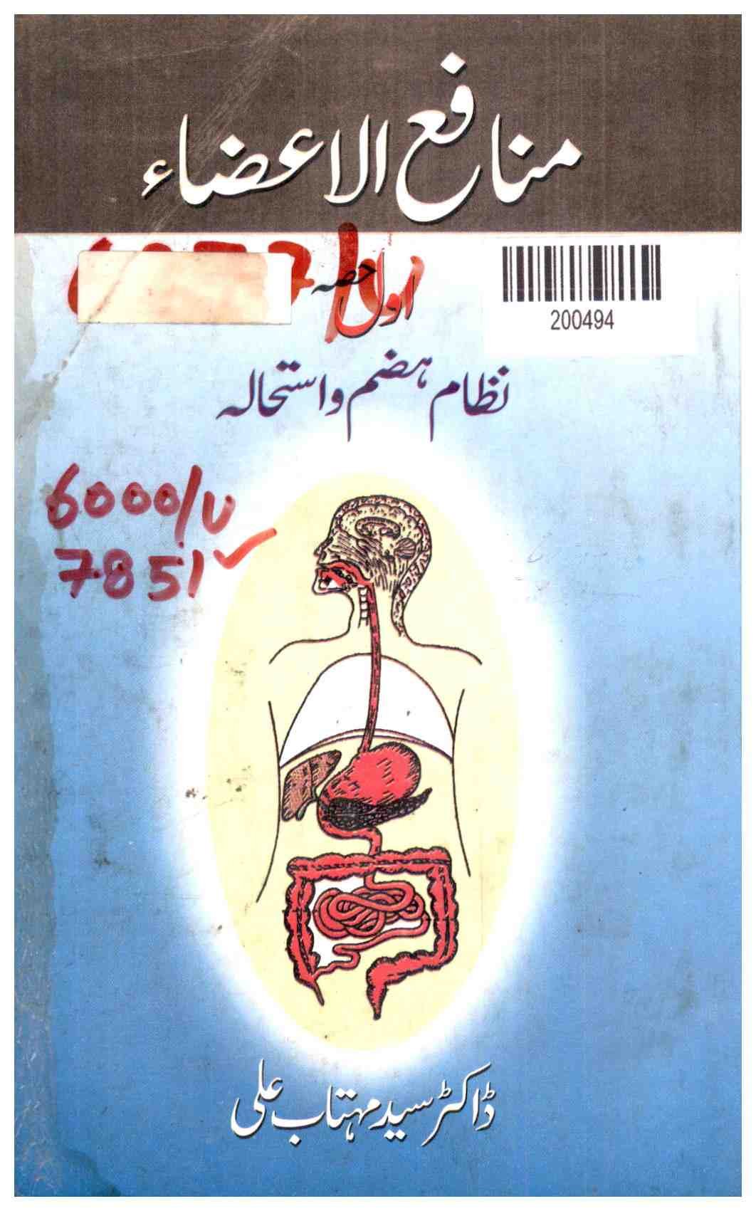 Benefits of Organs: Digestive System and Metabolism