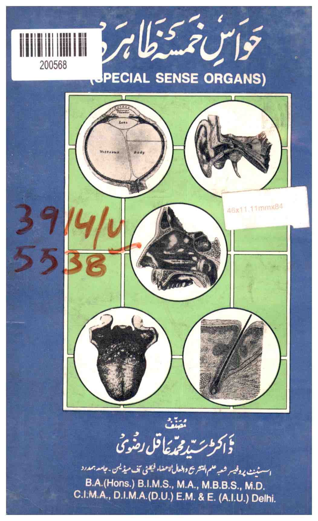 Five Senses Organs