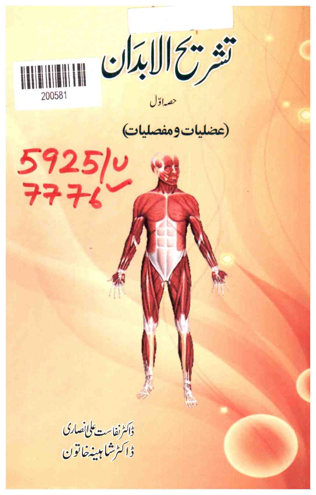 Explanation of the Organs