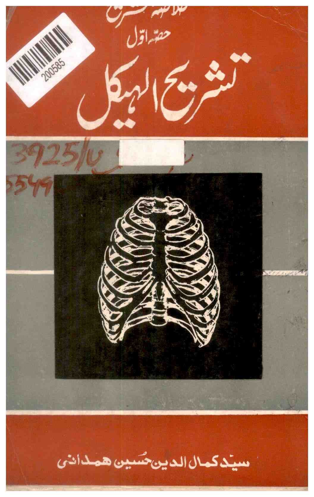 Explanation of the Skeleton