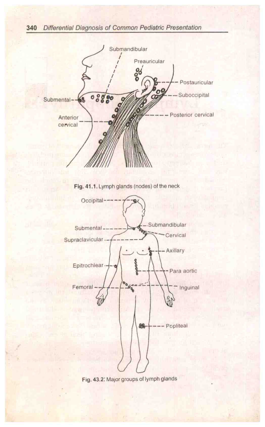 Differential Diagnosis of Common Pediatric Presentation