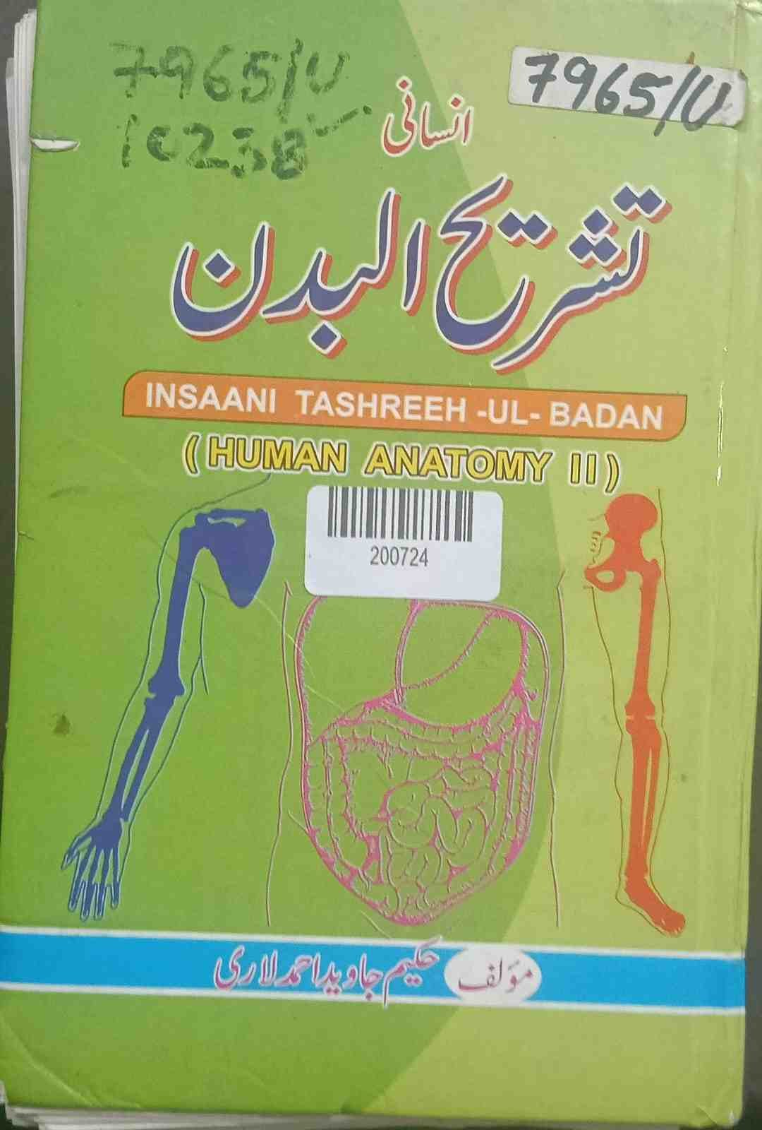 Human Anatomy Ii