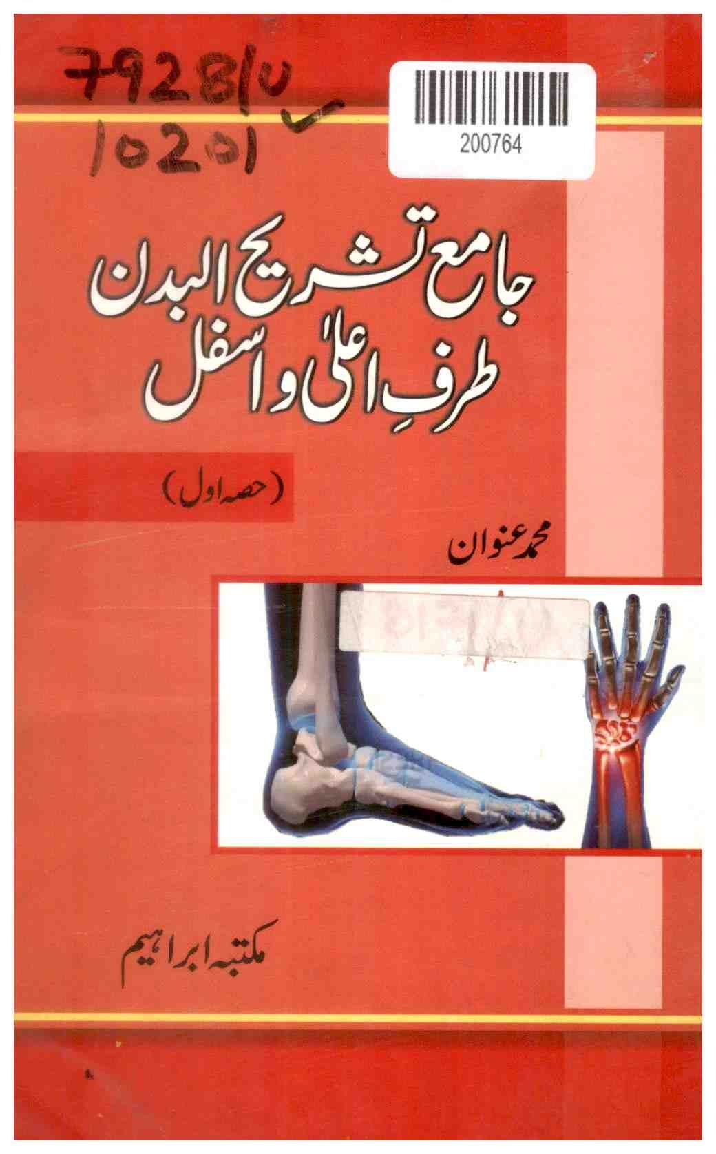 Comprehensive Commentary of the Body: Upper and Lower Extremities (part One)
