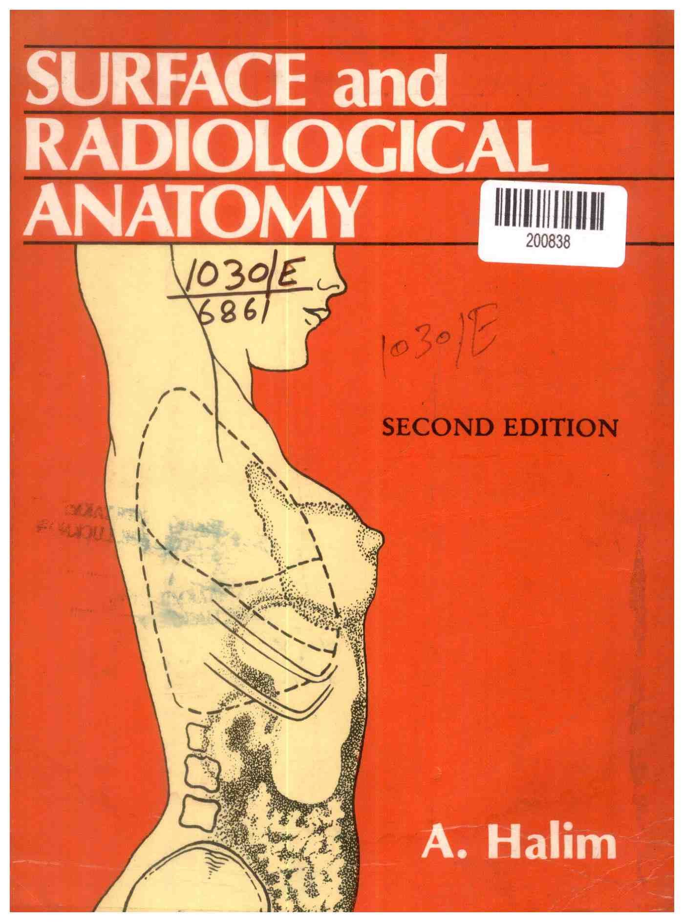 Surface and Radiological Anatomy