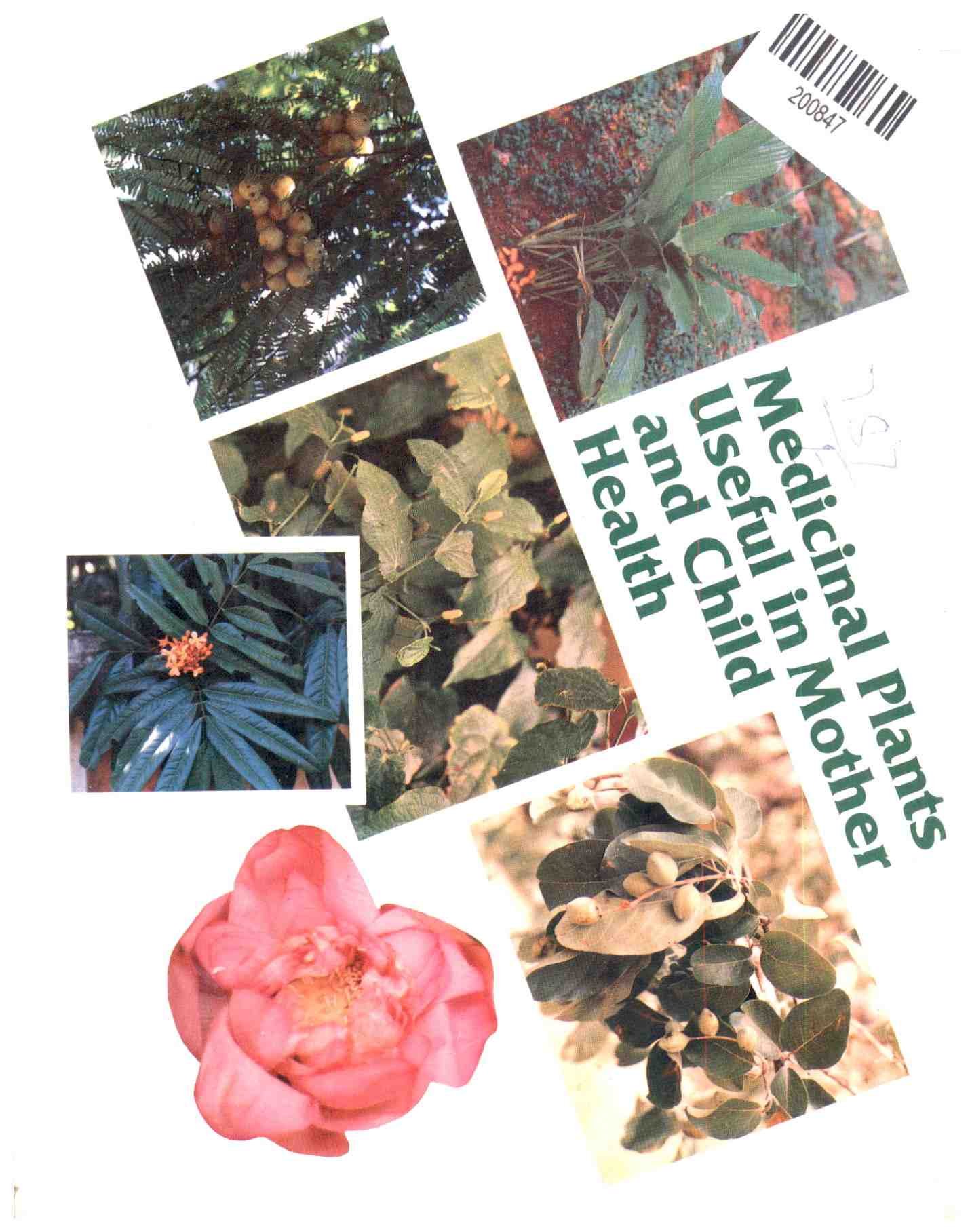 Medicinal Plants Useful in Mother and Child Health