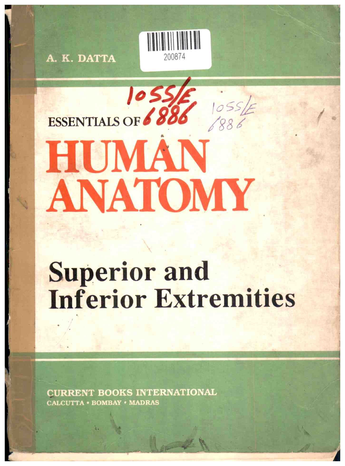 Essentials of Human Anatomy: Superior and Inferior Extremities