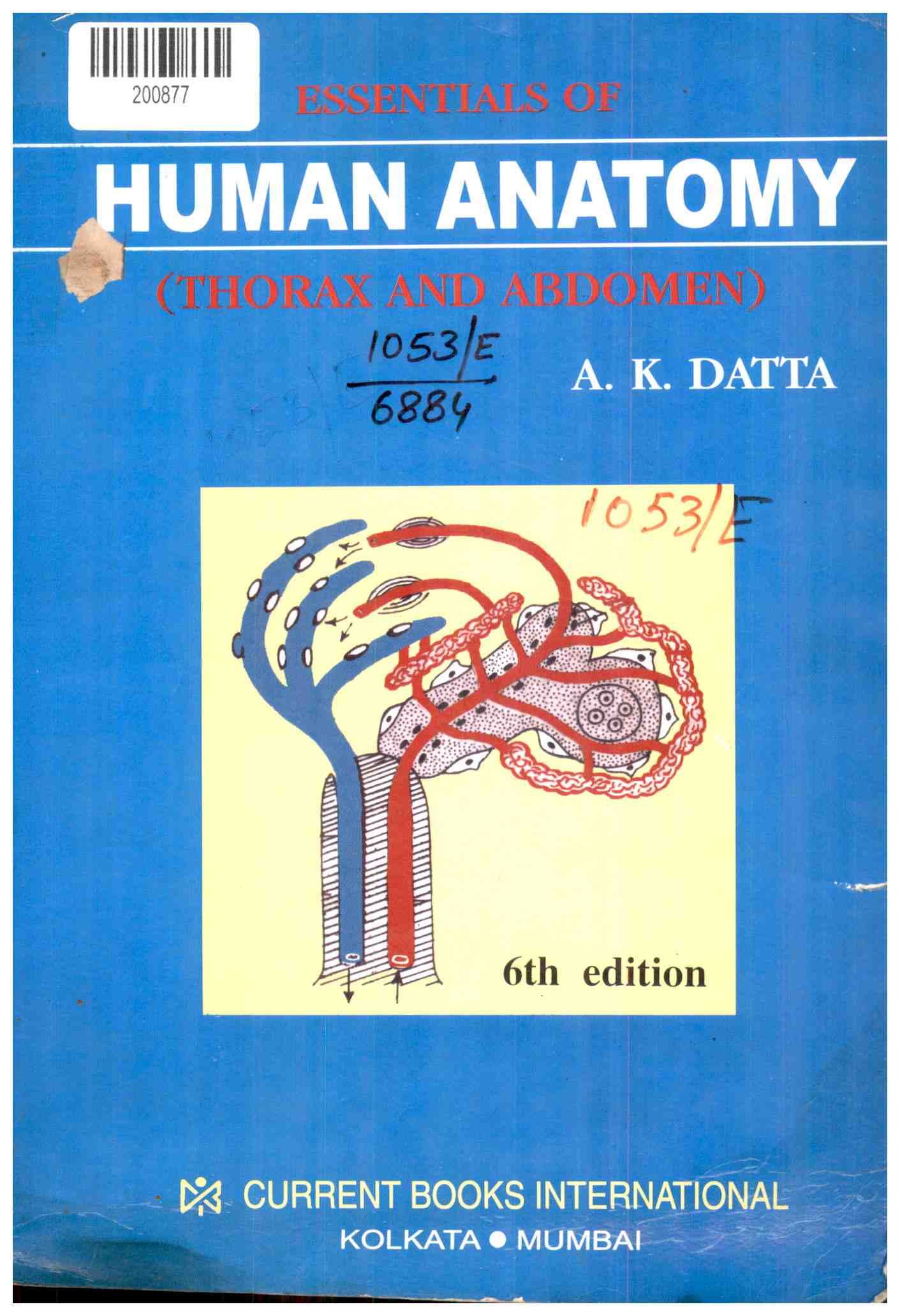 Essentials of Human Anatomy (thorax and Abdomen)
