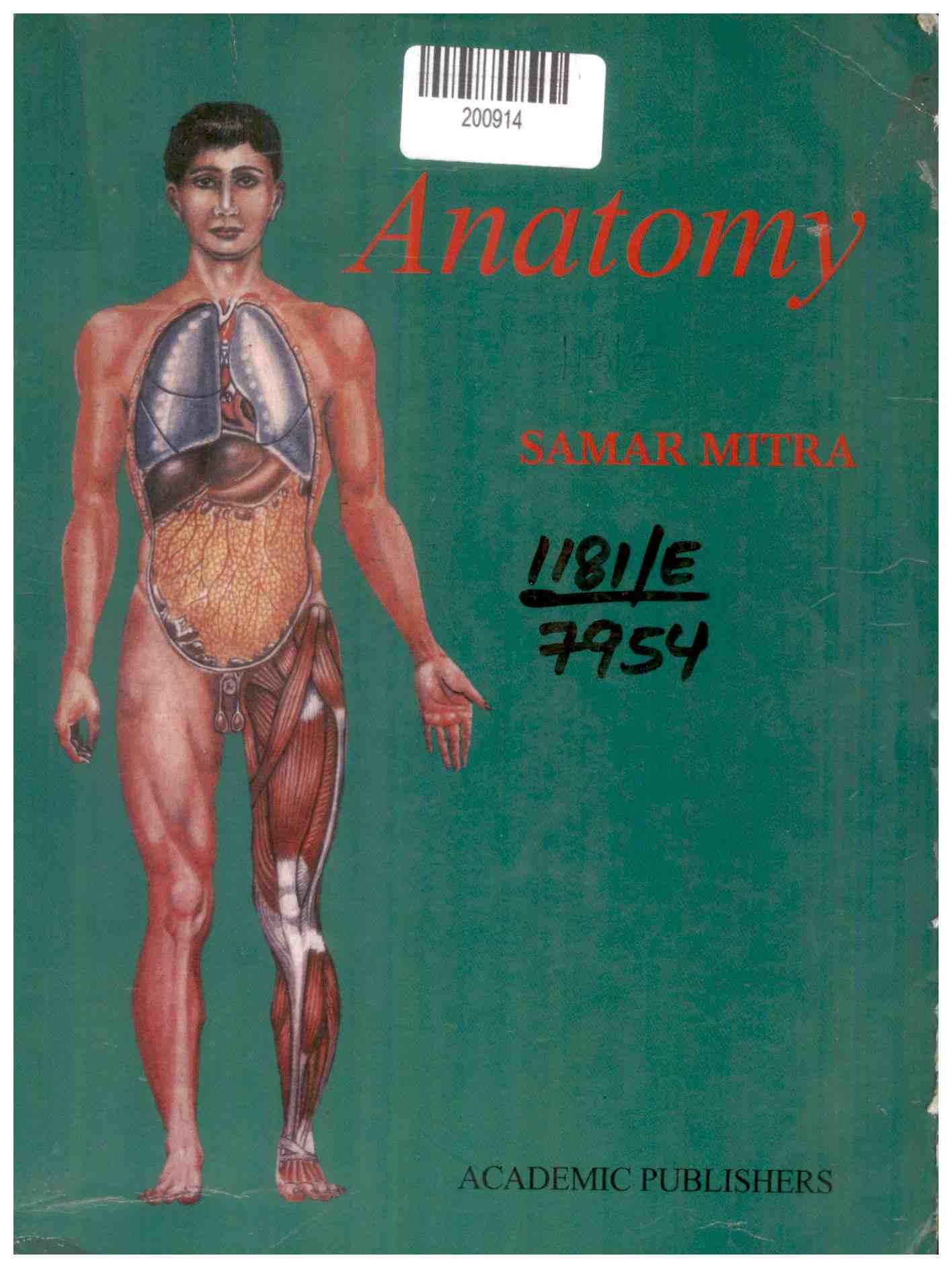 Anatomy