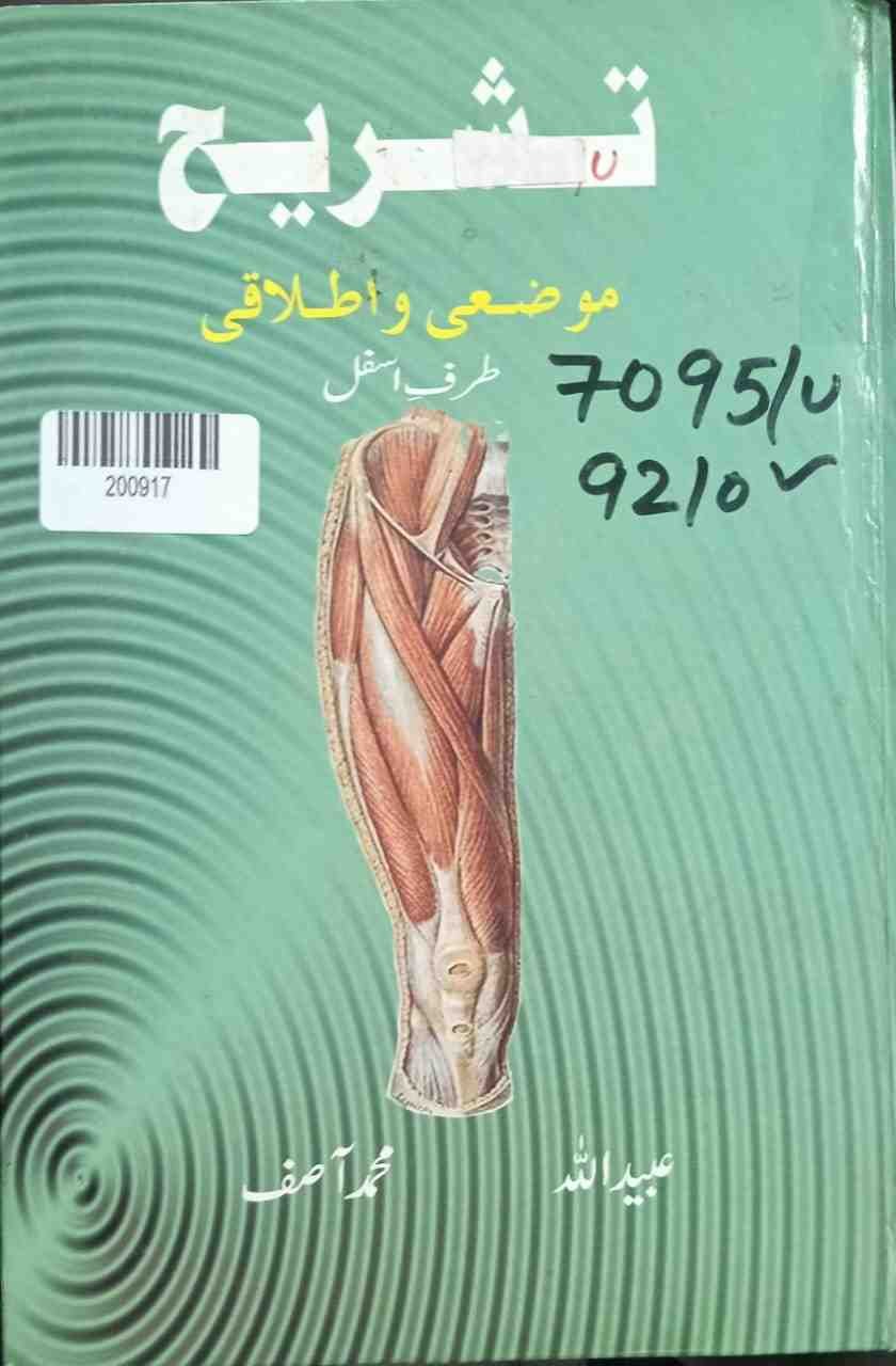 Anatomy