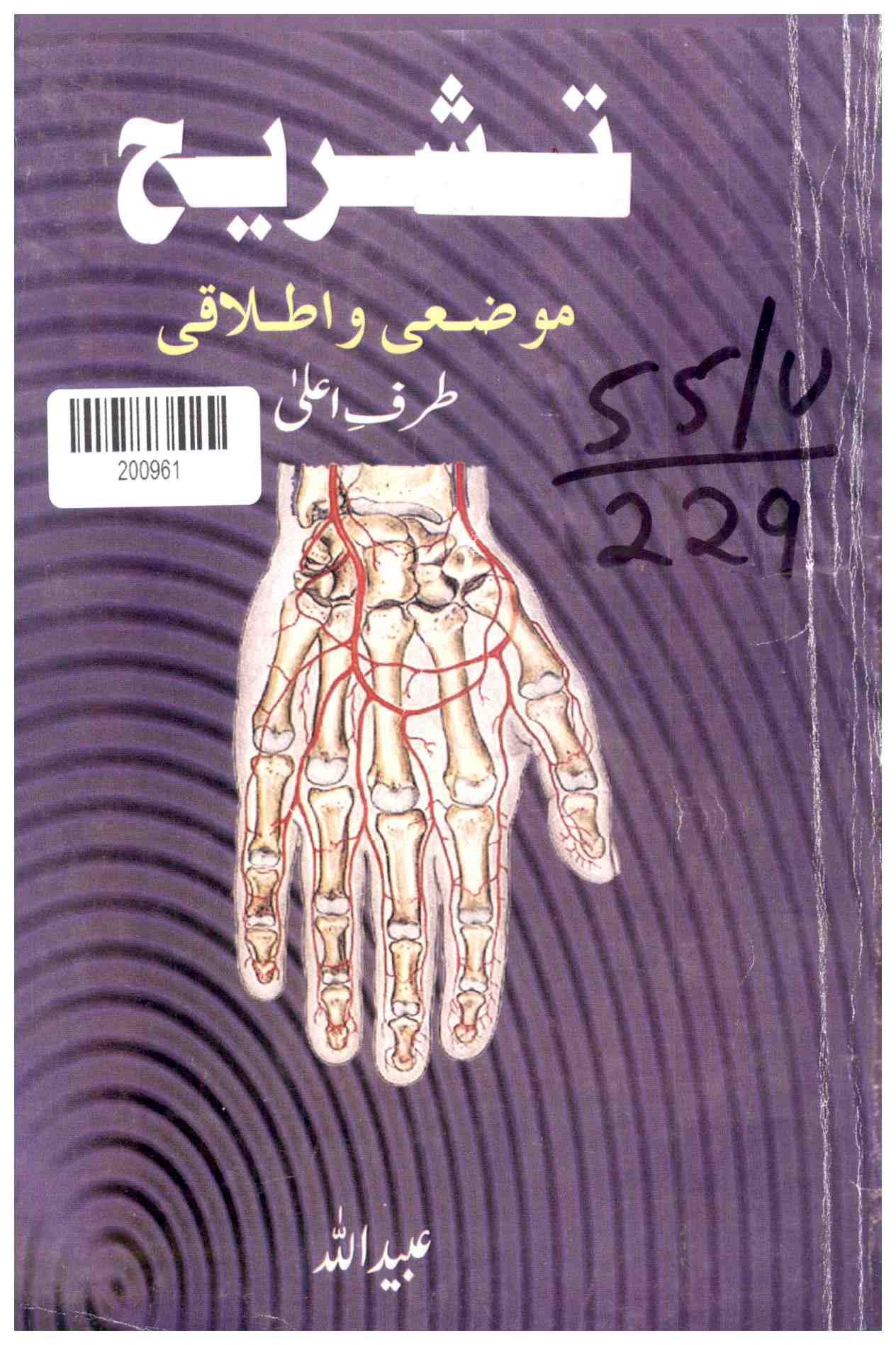 Anatomy: Topical and General Aspects