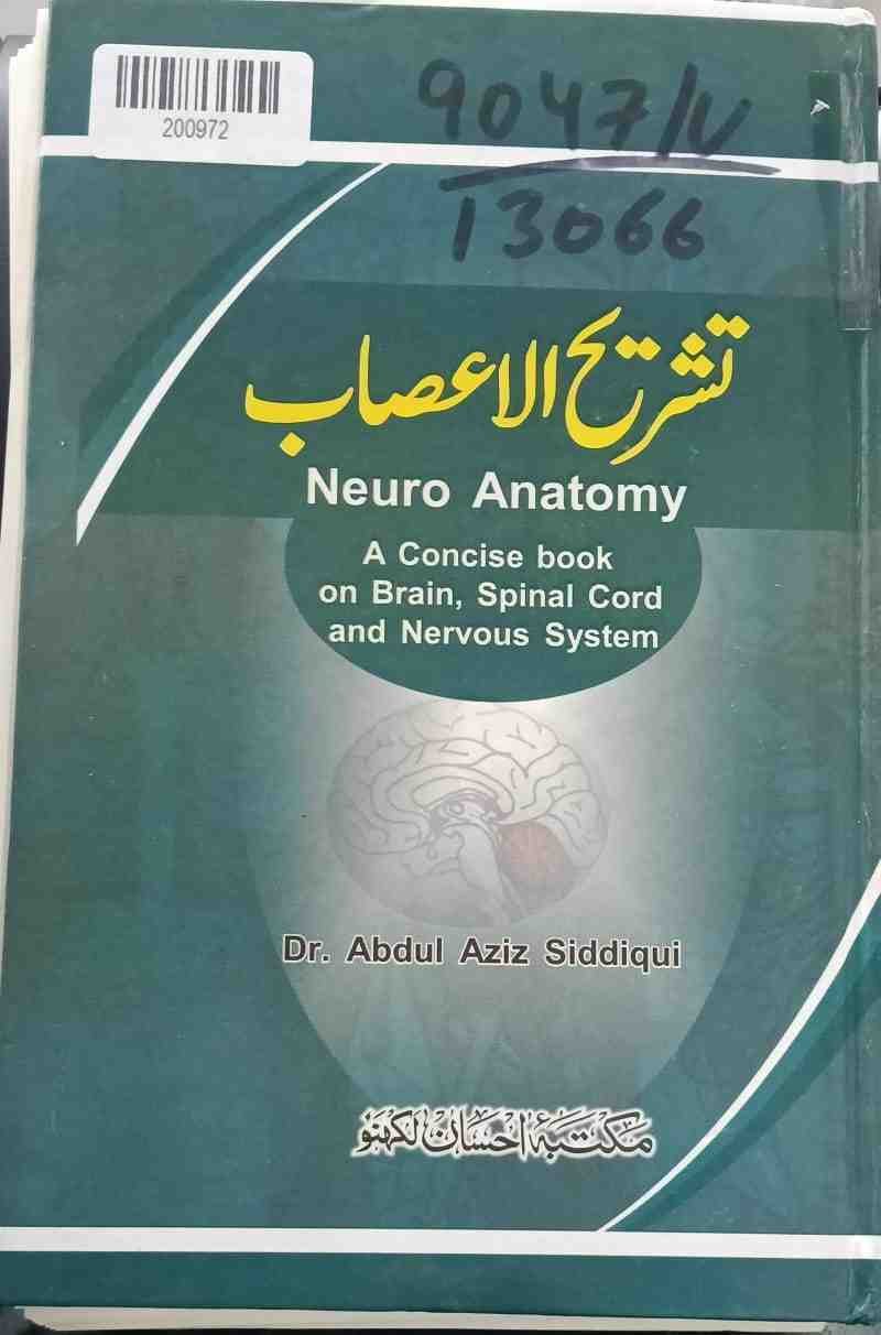 Neuro Anatomy