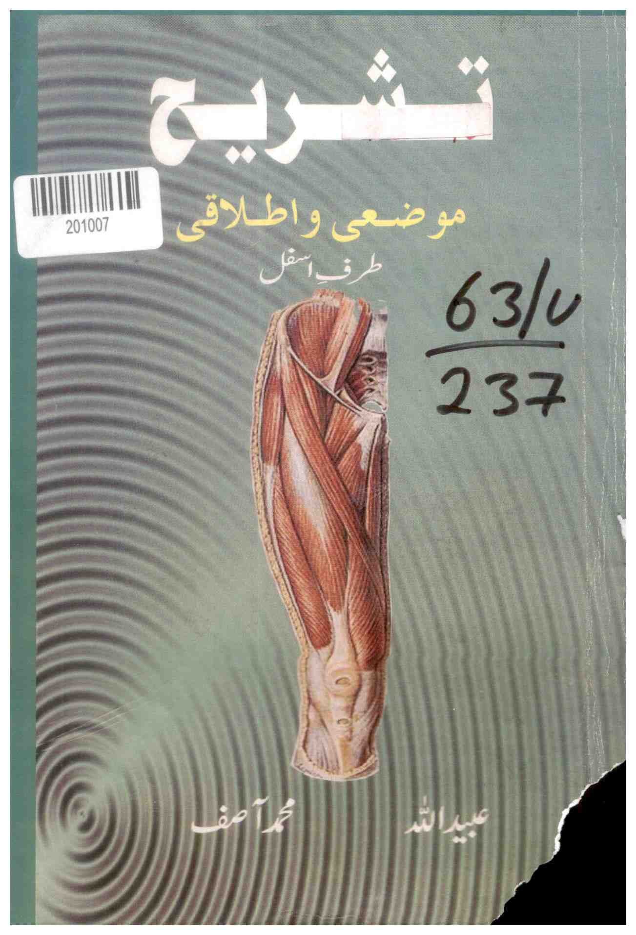 Anatomy: Subjective and Absolute