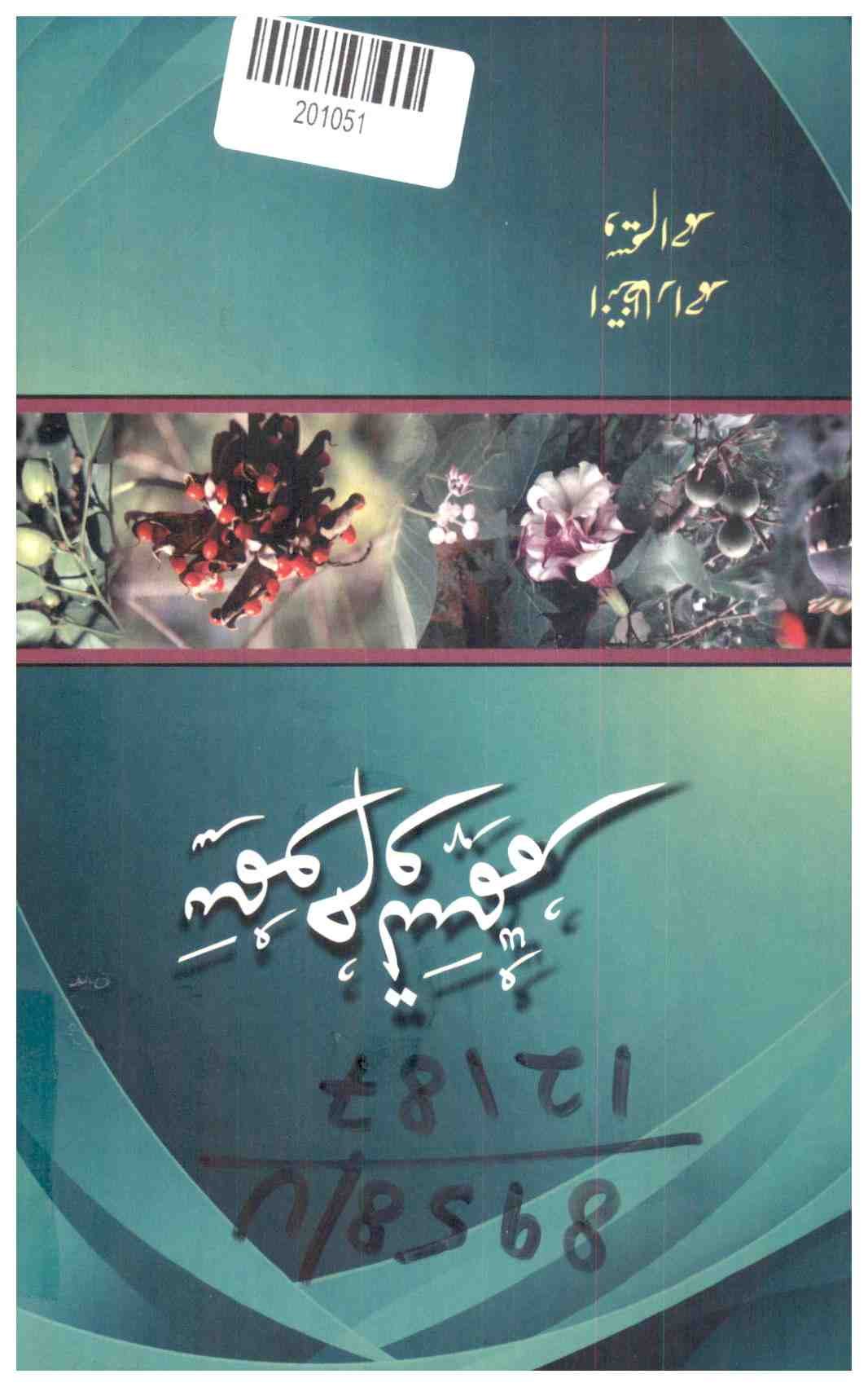 Sufi-nama