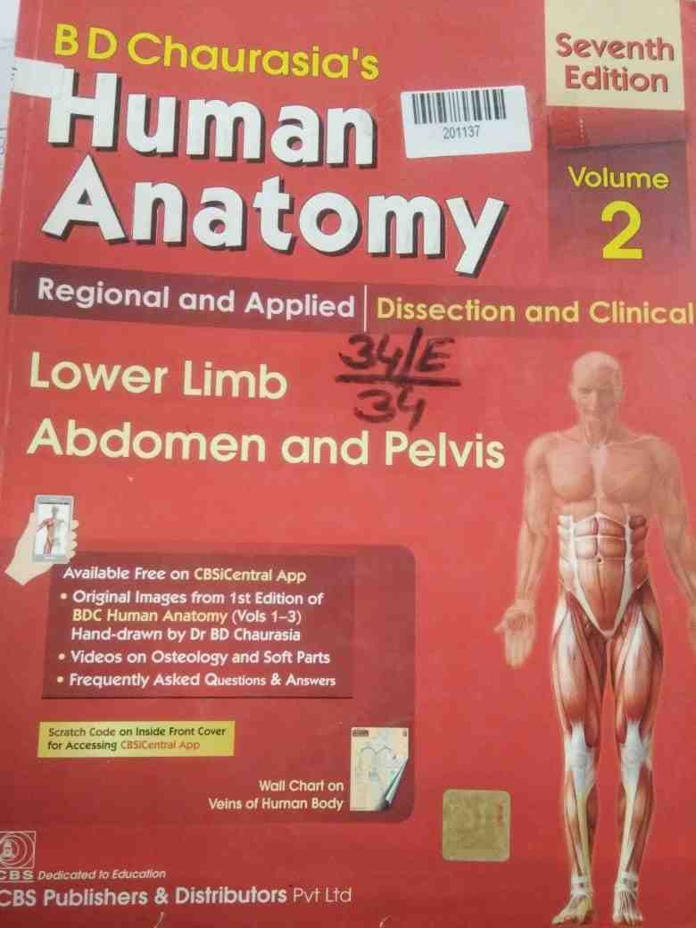 Human Anatomy Volume 2 Lower Limb Abdomen and Pelvis