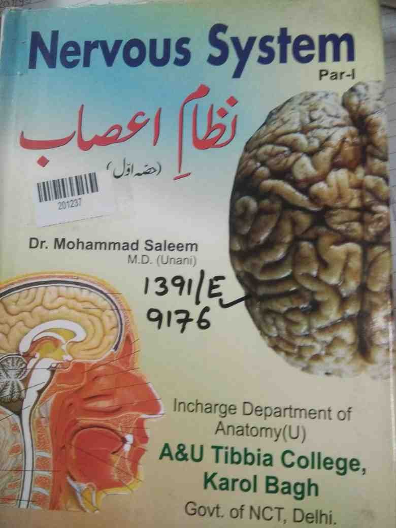 Nervous System (part One)